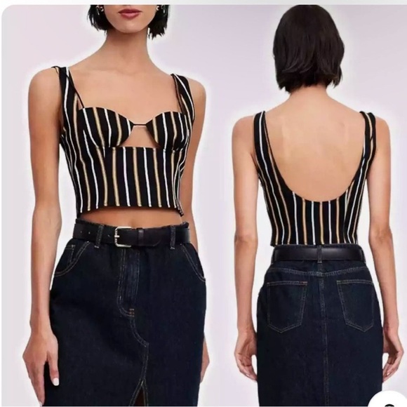 Lioness Black and Tan Striped Crop Top - Picture 1 of 12